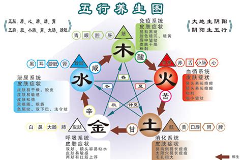 科技五行属什么|生物科技行业五行属性